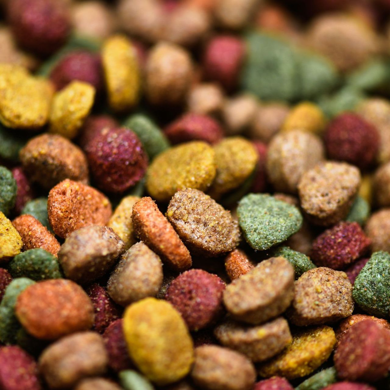 Gros plan sur des croquettes pour animaux