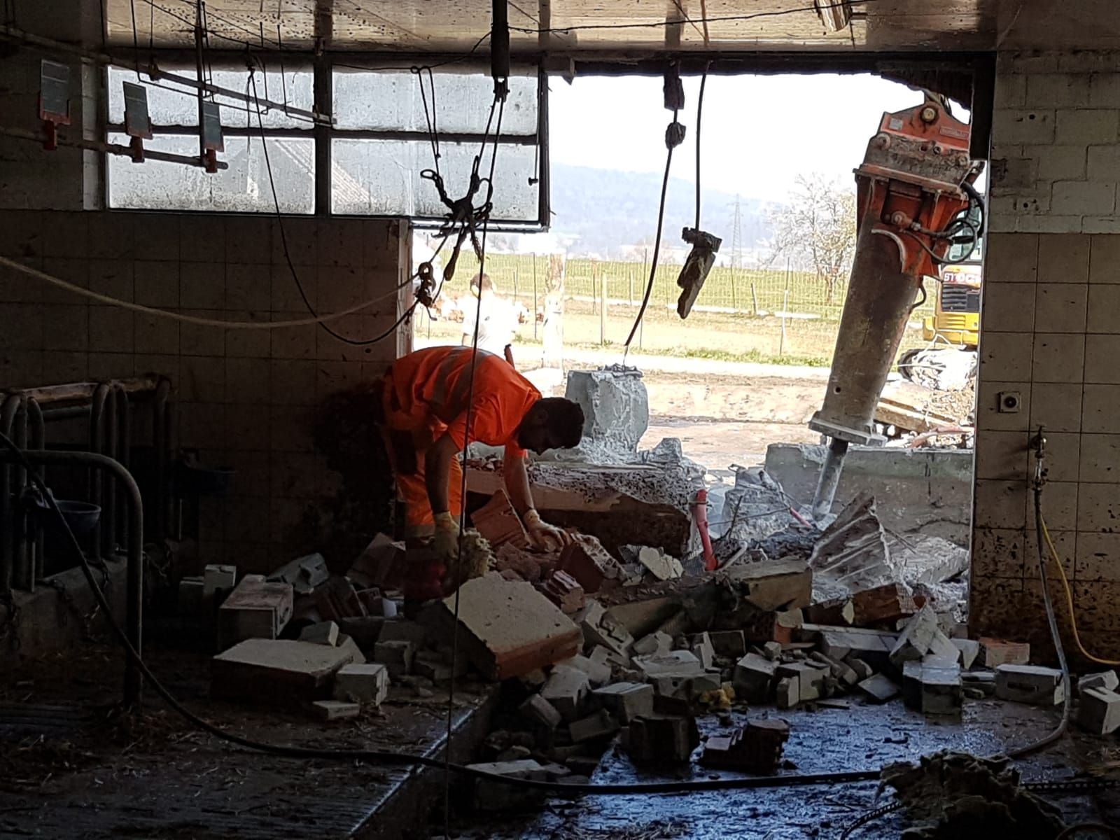 Markwalder's Hoflädeli