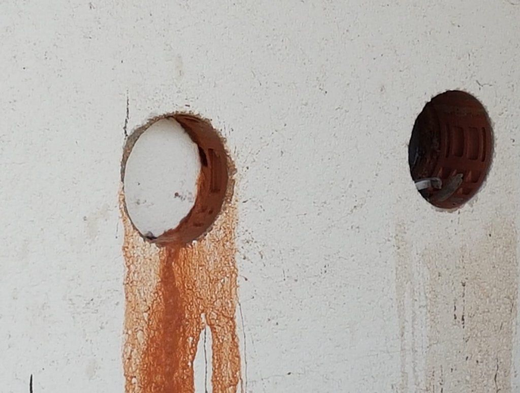 Markwalder's Hoflädeli