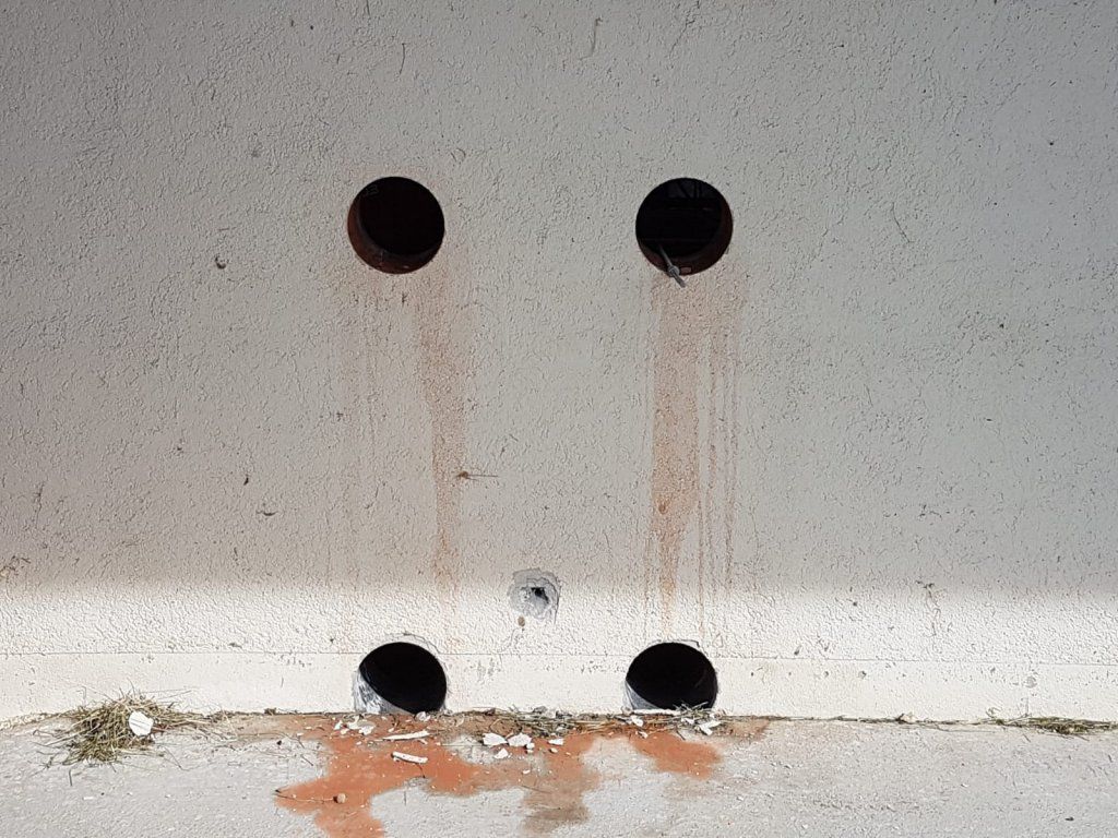 Markwalder's Hoflädeli