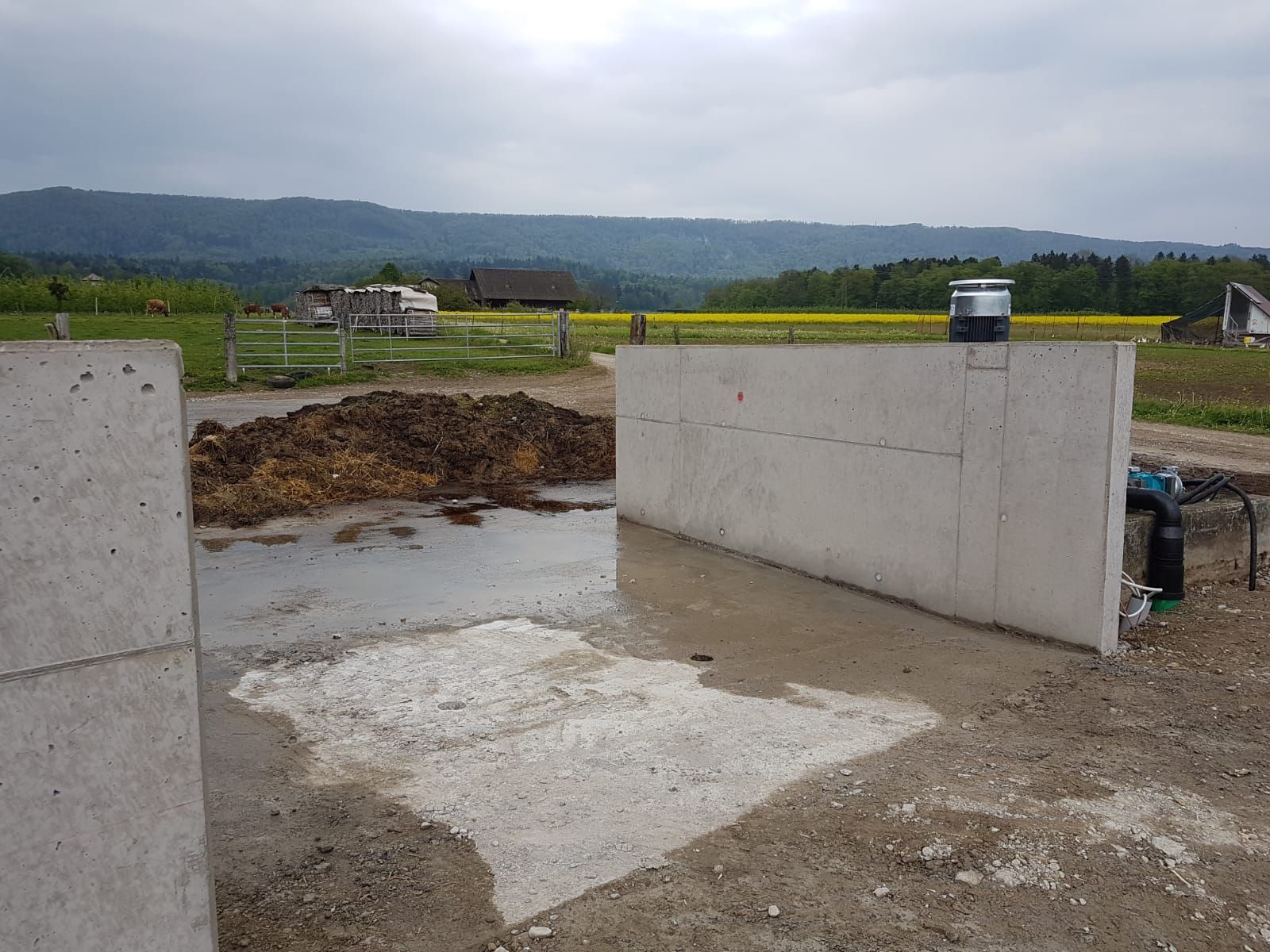 Markwalder's Hoflädeli