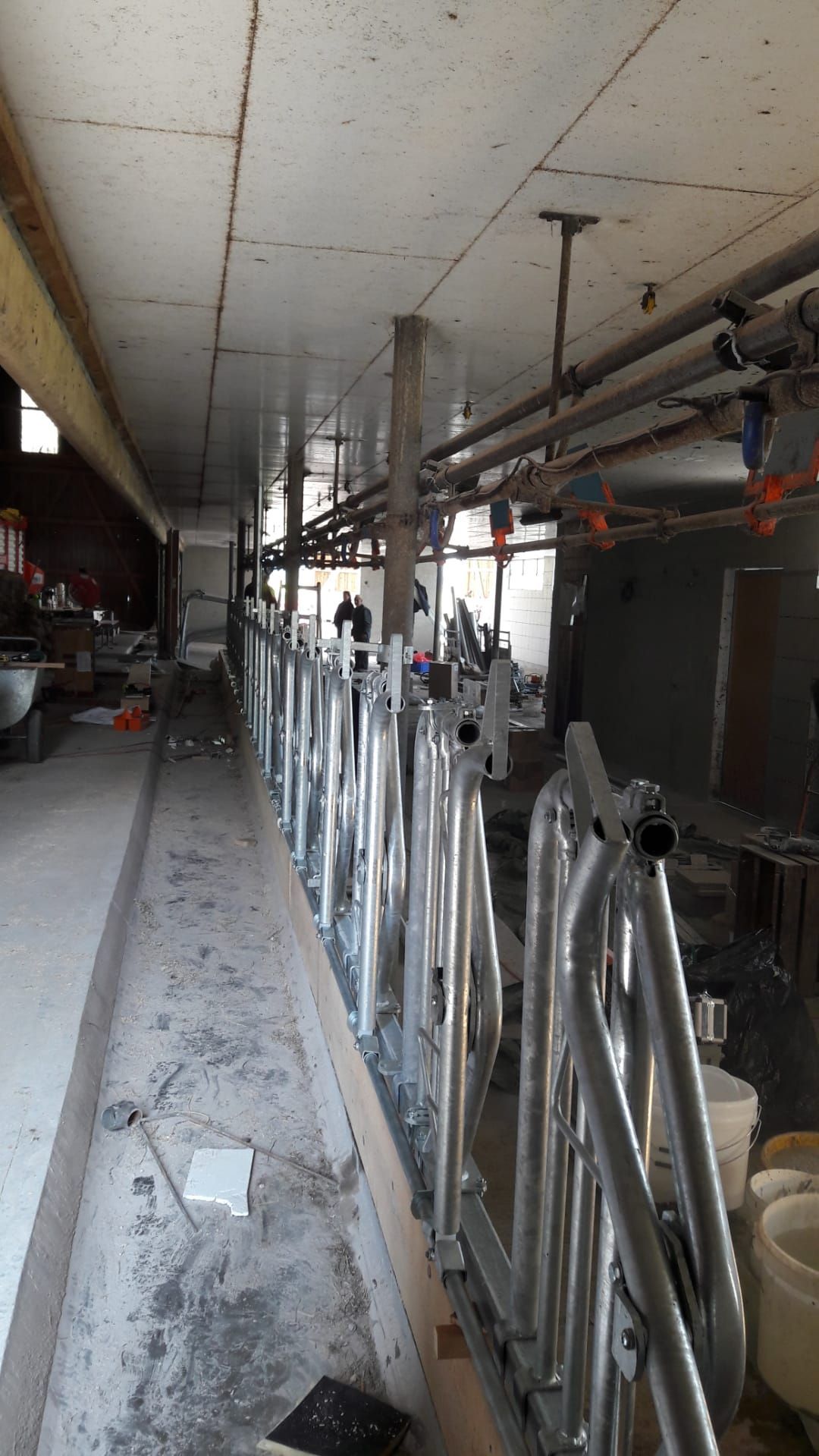 Markwalder's Hoflädeli