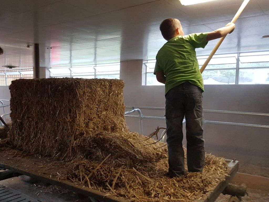 Markwalder's Hoflädeli