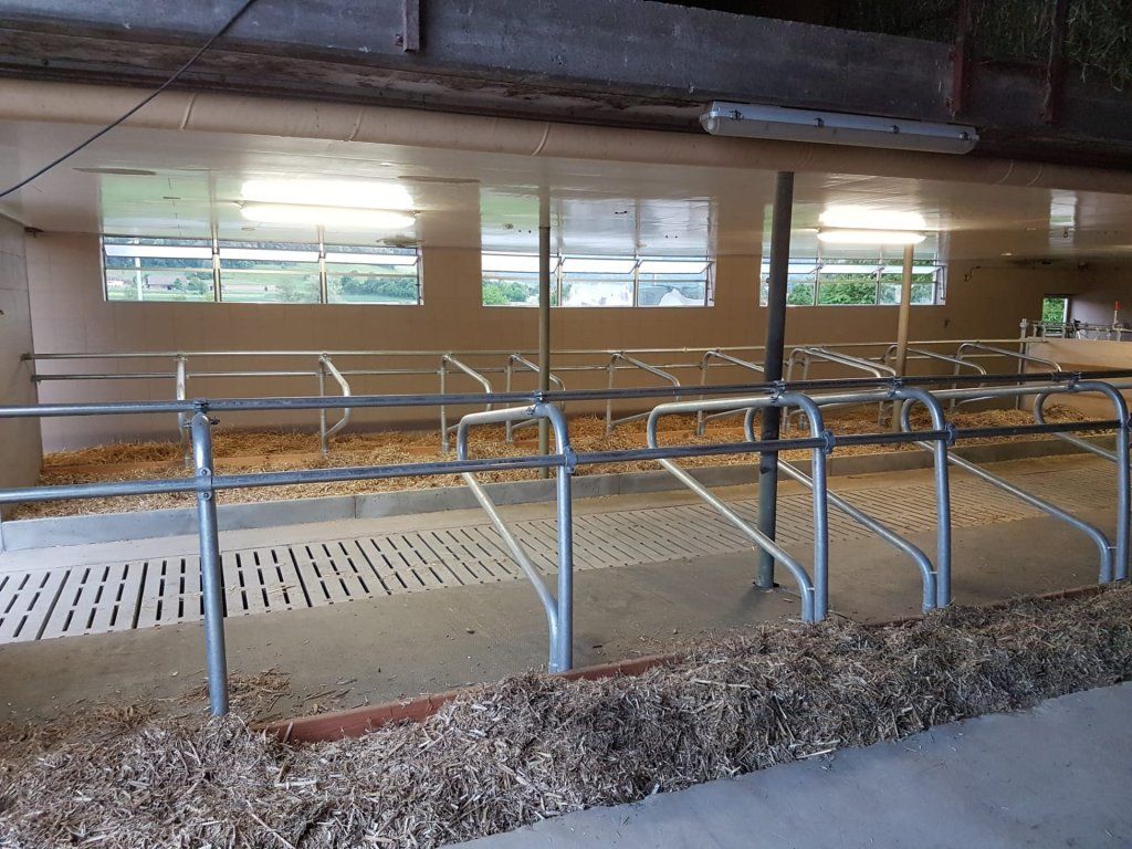 Markwalder's Hoflädeli