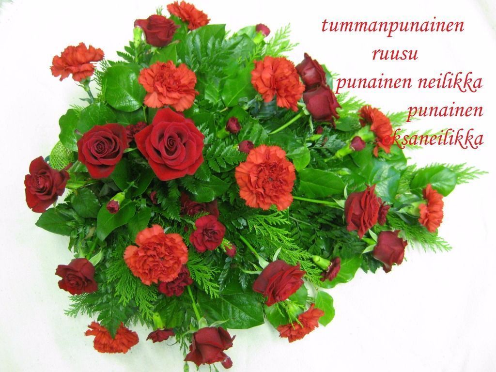 Kajamiks OyKajamiks Oy