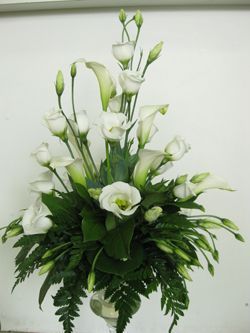 Kajamiks OyKajamiks Oy