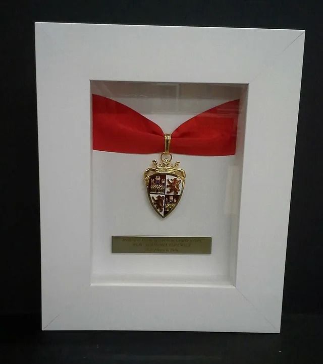 Una imagen de una medalla con una cinta roja alrededor.
