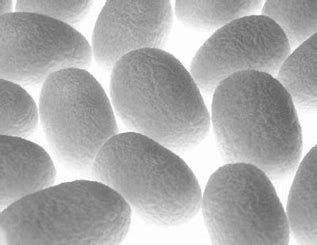 Soin cocon de lumière