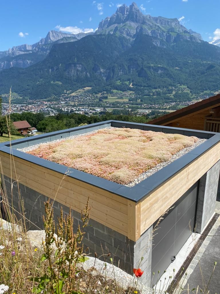 Toit-terrasse végétalisé