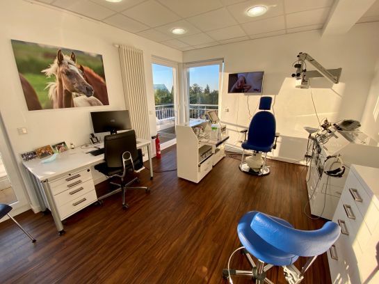 Ein Zimmer mit einem blauen Stuhl und einem Bild von einem Pferd an der Wand