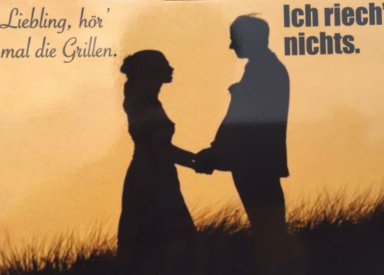 Eine Silhouette eines Mannes und einer Frau, die Händchen halten, mit den Worten „Liebling, hör mal die Grillen“