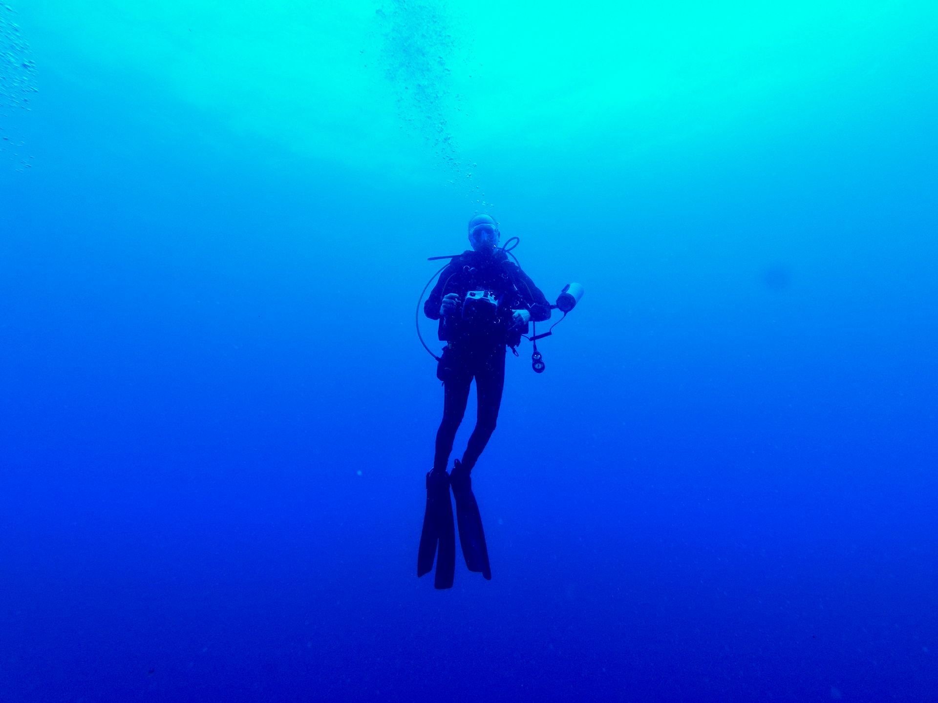 Ein Taucher schwimmt im Meer.