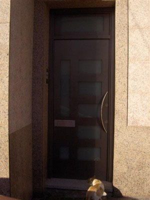 Un perro está parado frente a una puerta.