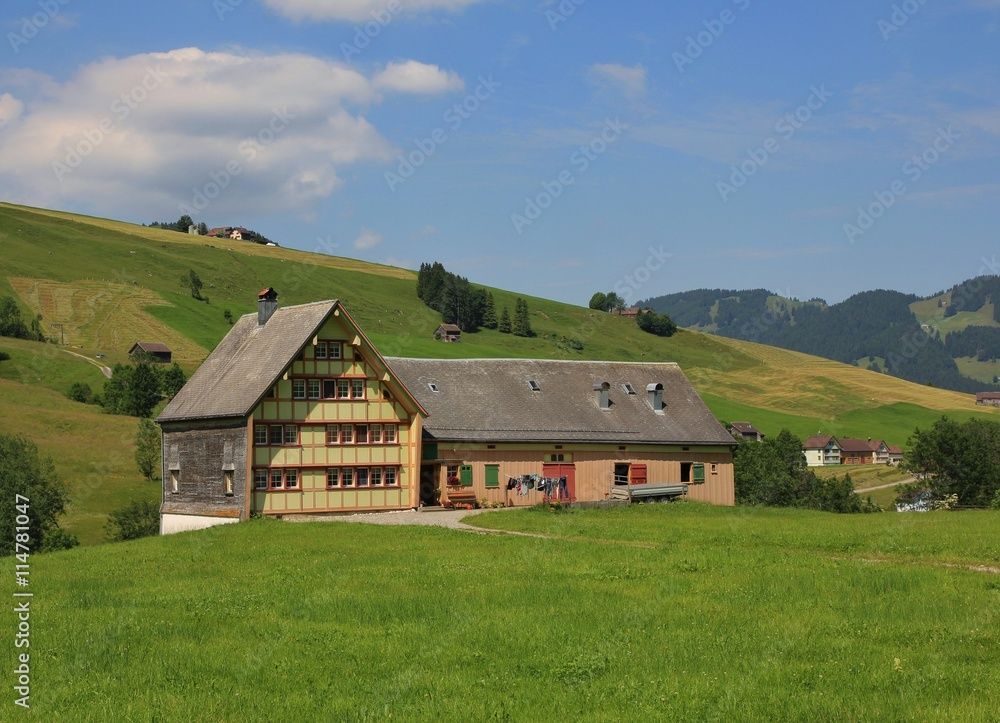 Ein Haus steht mitten auf einem üppigen grünen Feld, Lindenbaum Immobilien GmbH
