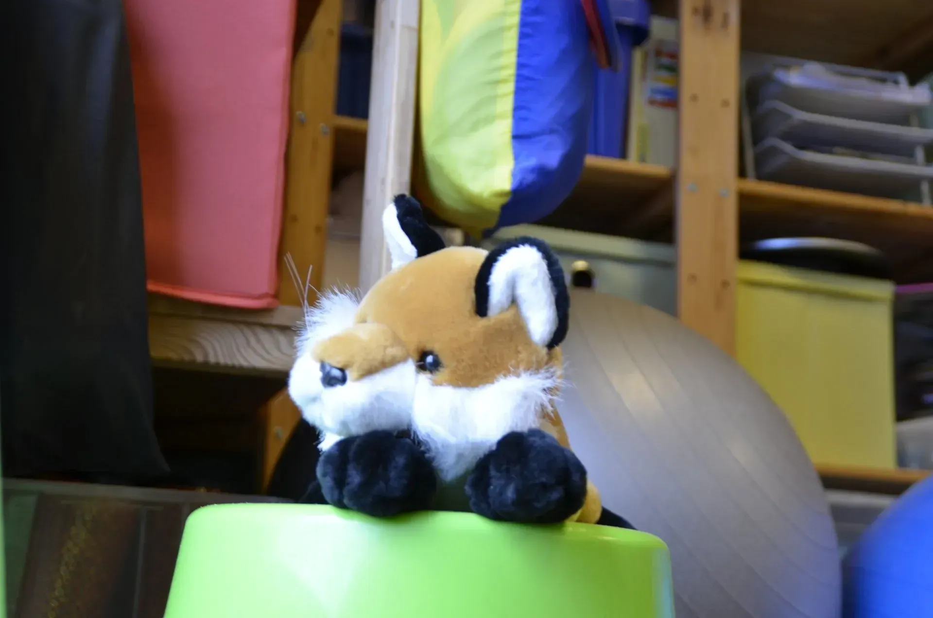 ein ausgestopfter Fuchs sitzt auf einem grünen Eimer