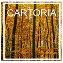 Cajas Cartón Gipuzkoa - Cartoria