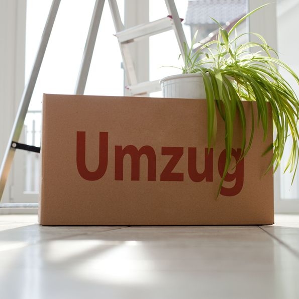 Umzug - BRS Reinigung GmbH