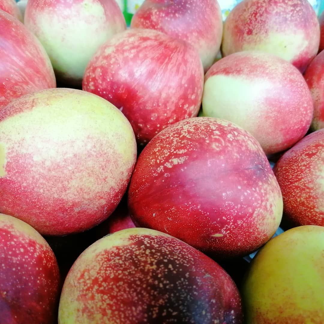 Primer plano de una pila de nectarinas rojas y amarillas.