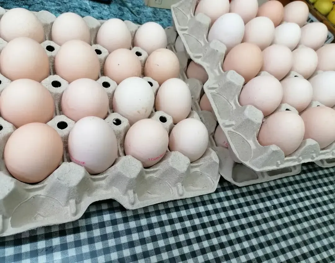 Dos cartones de huevos llenos de huevos de color claro sobre una superficie a cuadros.