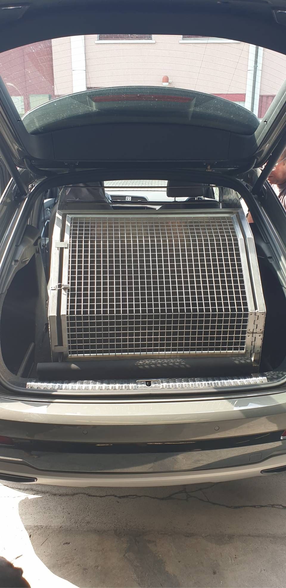 Im Kofferraum eines Autos mit geöffneter Heckklappe befindet sich eine Hundebox aus Metall.