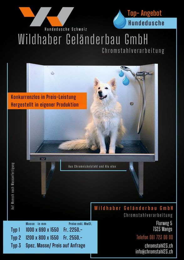 Weiße Katze auf einem Ausstellungsregal vor einer schwarzen Werbung der Firma Wildhaber Geländerbau GmbH.