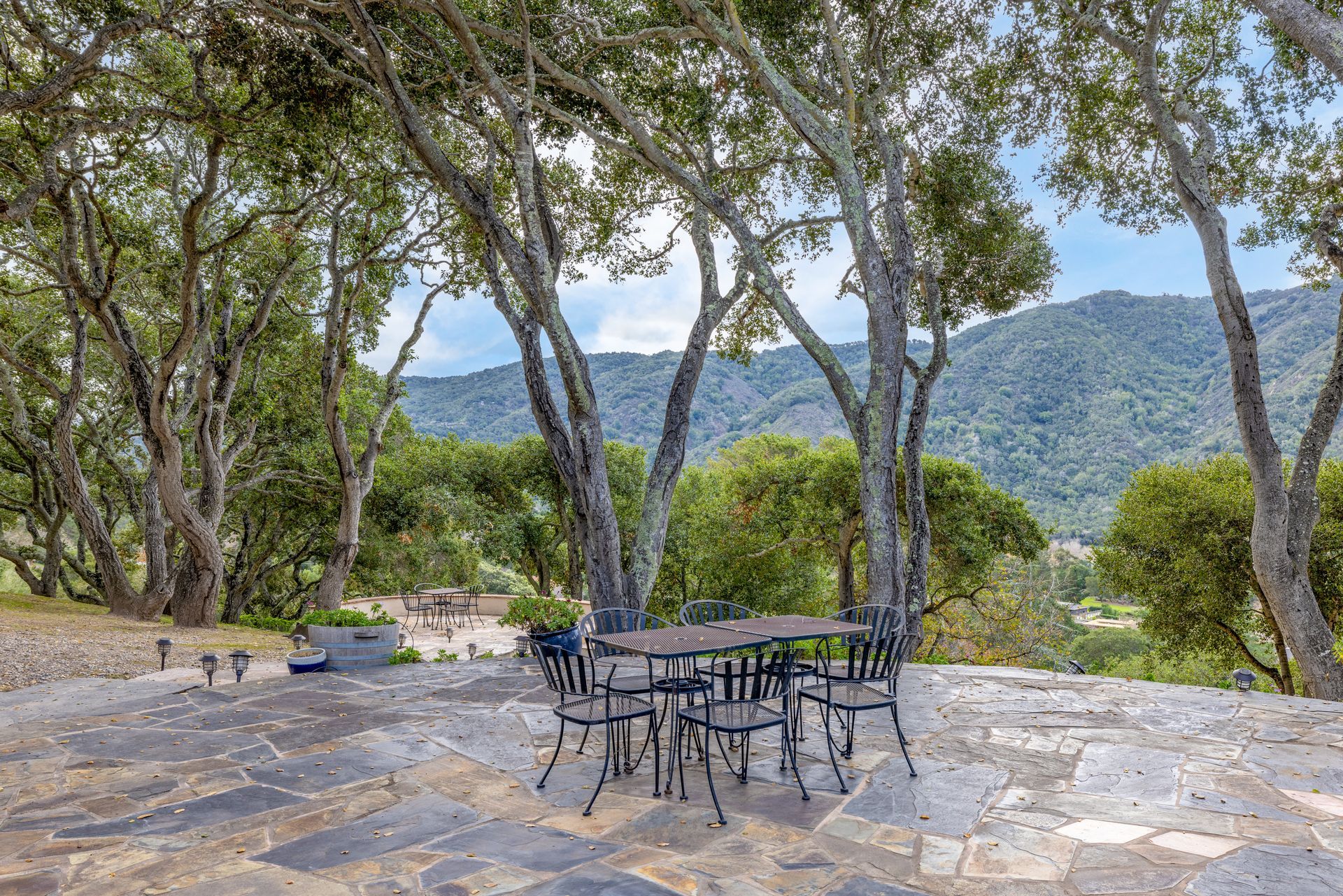 A house with a large tree in front of it