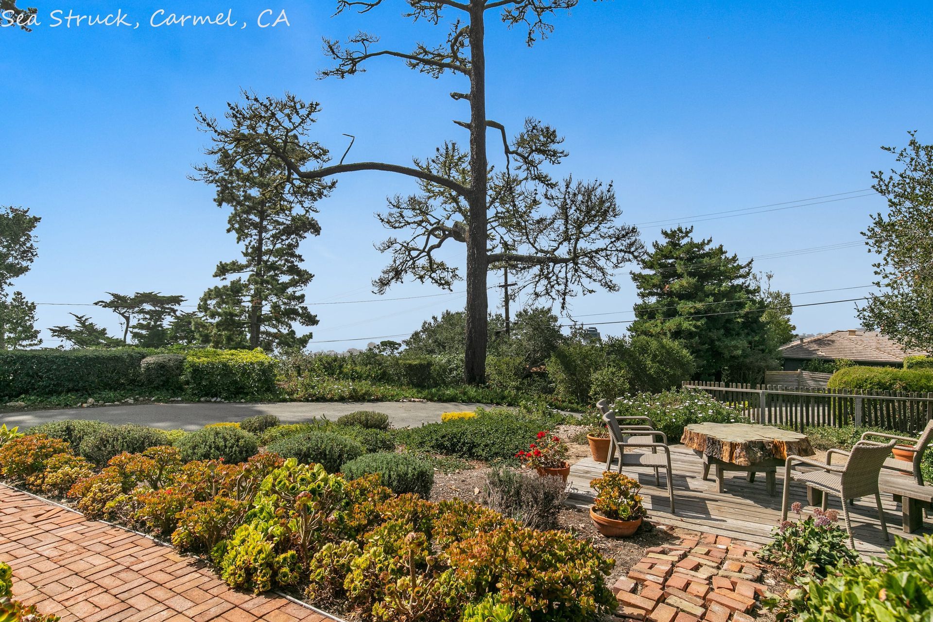 A picture of a garden in san stuck ca