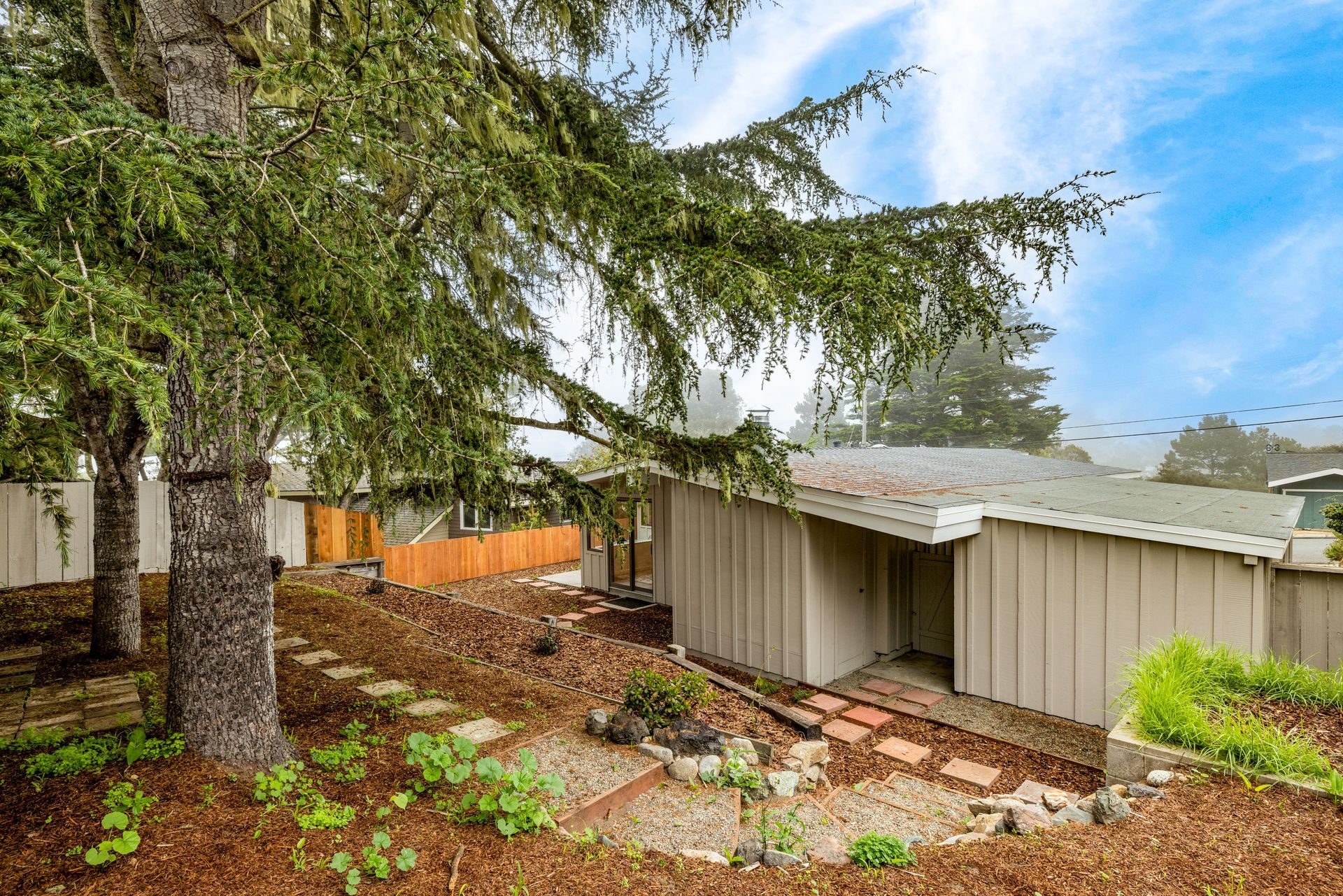 A house with a large tree in front of it.