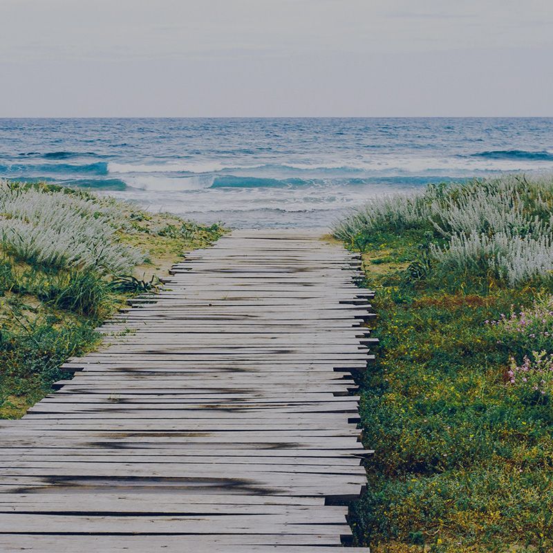 A wooden walkway leading to the ocean.