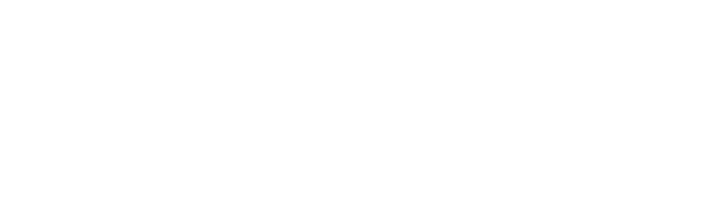 Naxeon - logo