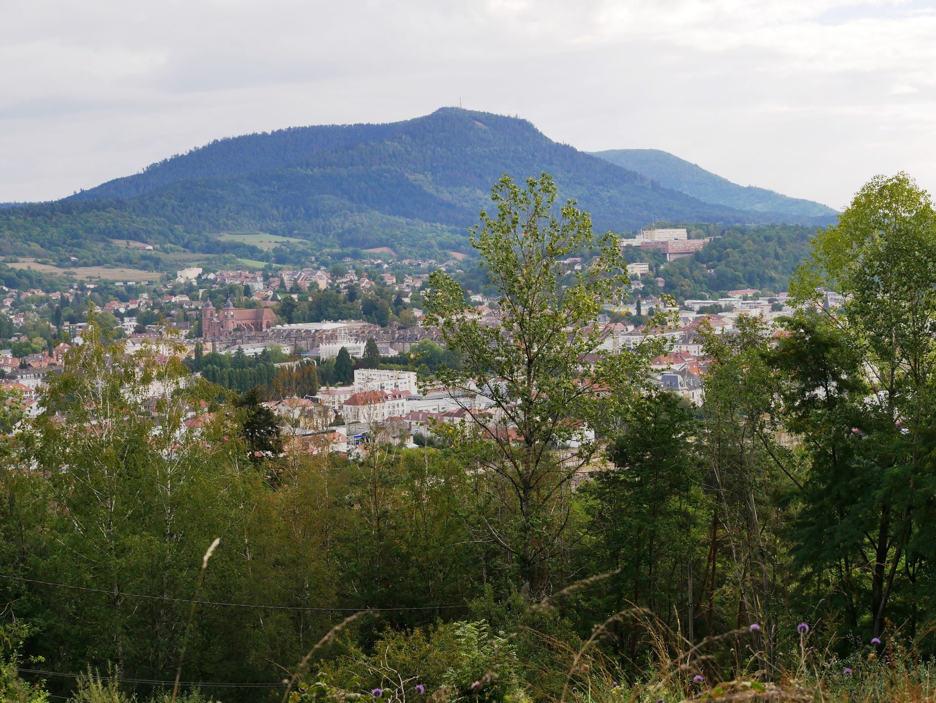 Point de vue sur Saint-Dié-des-Vosges.