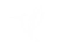 DepTech