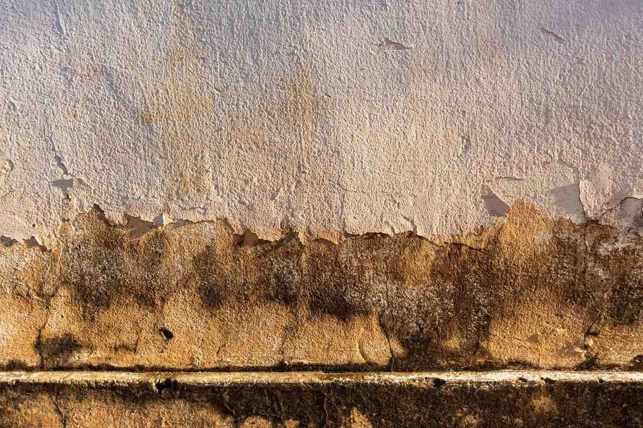 Pared de color beige y gris desgastada con una mancha oscura e irregular a lo largo del borde inferior.