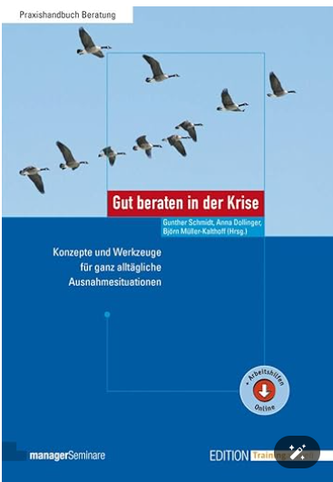 Buchcover: Gänse im Formationsflug, Titel „Gut beraten in der Krise“. Blauer Hintergrund.