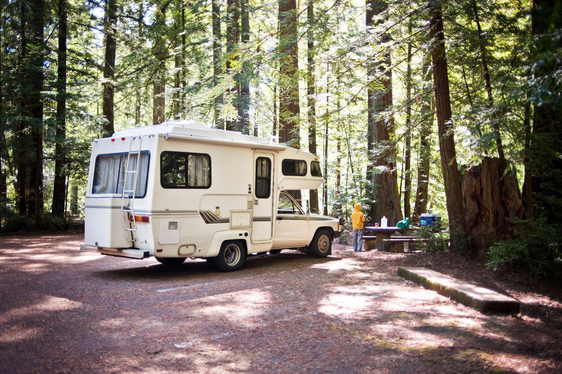 Un camping-car blanc garé dans une clairière ensoleillée, à côté d'une table de pique-nique.