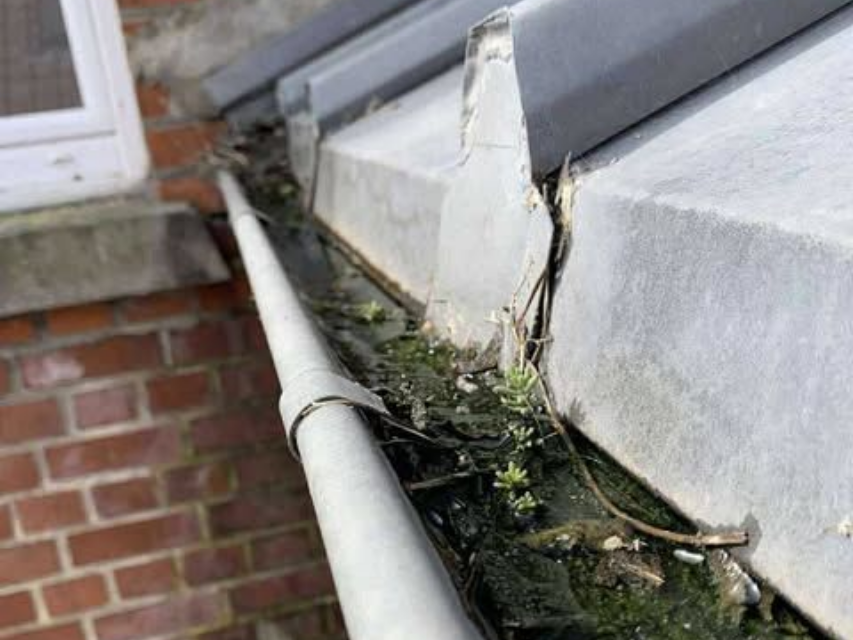 Une gouttière remplie de débris et de plantes jouxte un mur de briques.