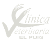 logotipo cabecera