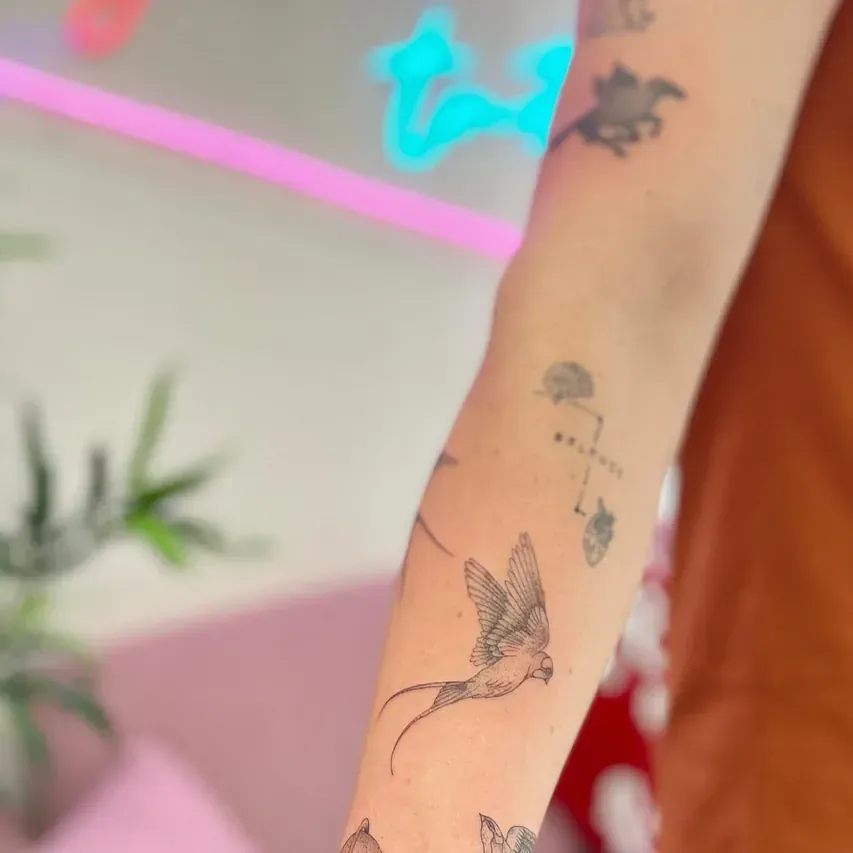 Brazo con múltiples pequeños tatuajes de pájaros, flores y constelaciones.