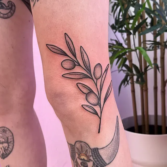 Tatuaje de una rama de olivo con contorno negro en la rodilla. Fondo rosa, planta visible.