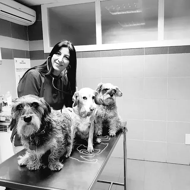 Una mujer está parada junto a tres perros en una mesa.