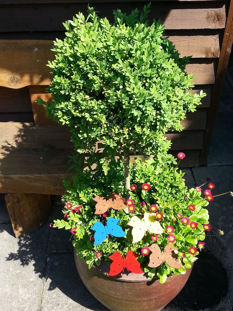 Eine Topfpflanze mit Blumen und einem Baum darin