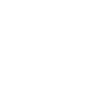 Icon Mensch mit zwei Hunden