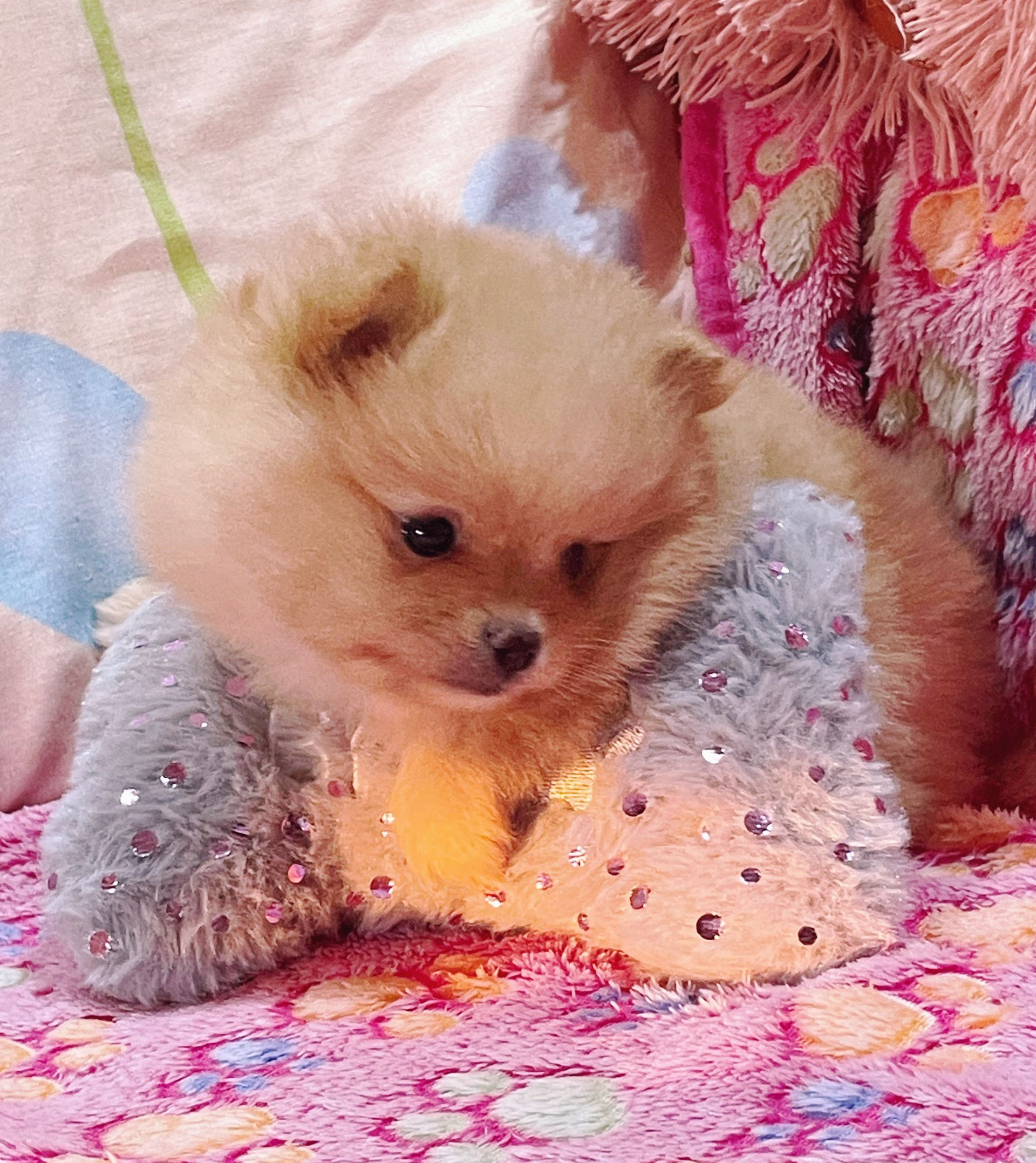 imagen nuestra historia