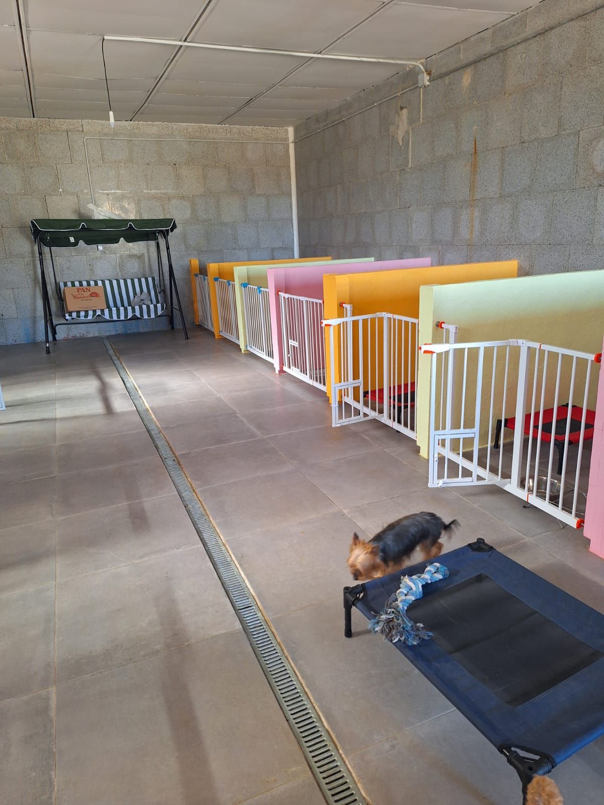 Caseta interior para perros con varios corrales, un columpio y un perro en una cama.