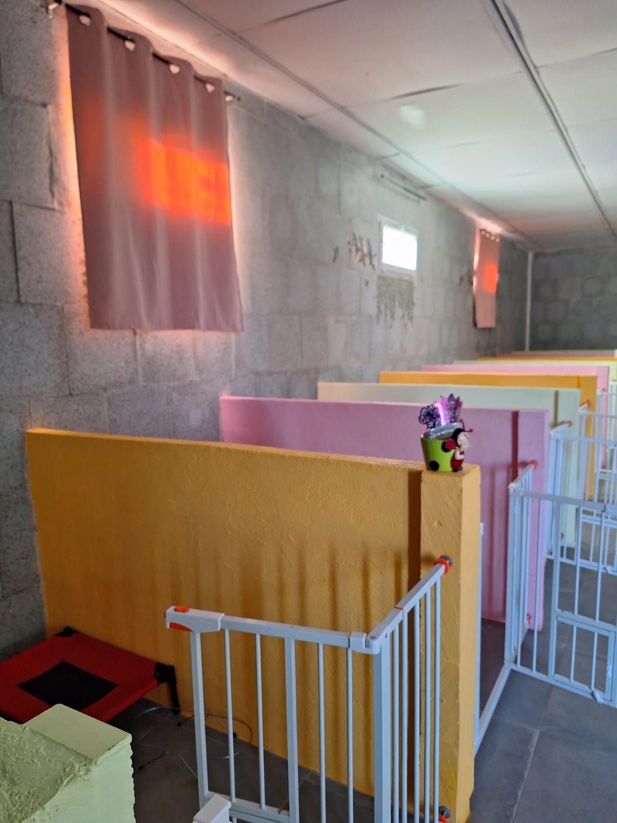 Cubículos coloridos en una habitación con luz que se filtra a través de las cortinas.