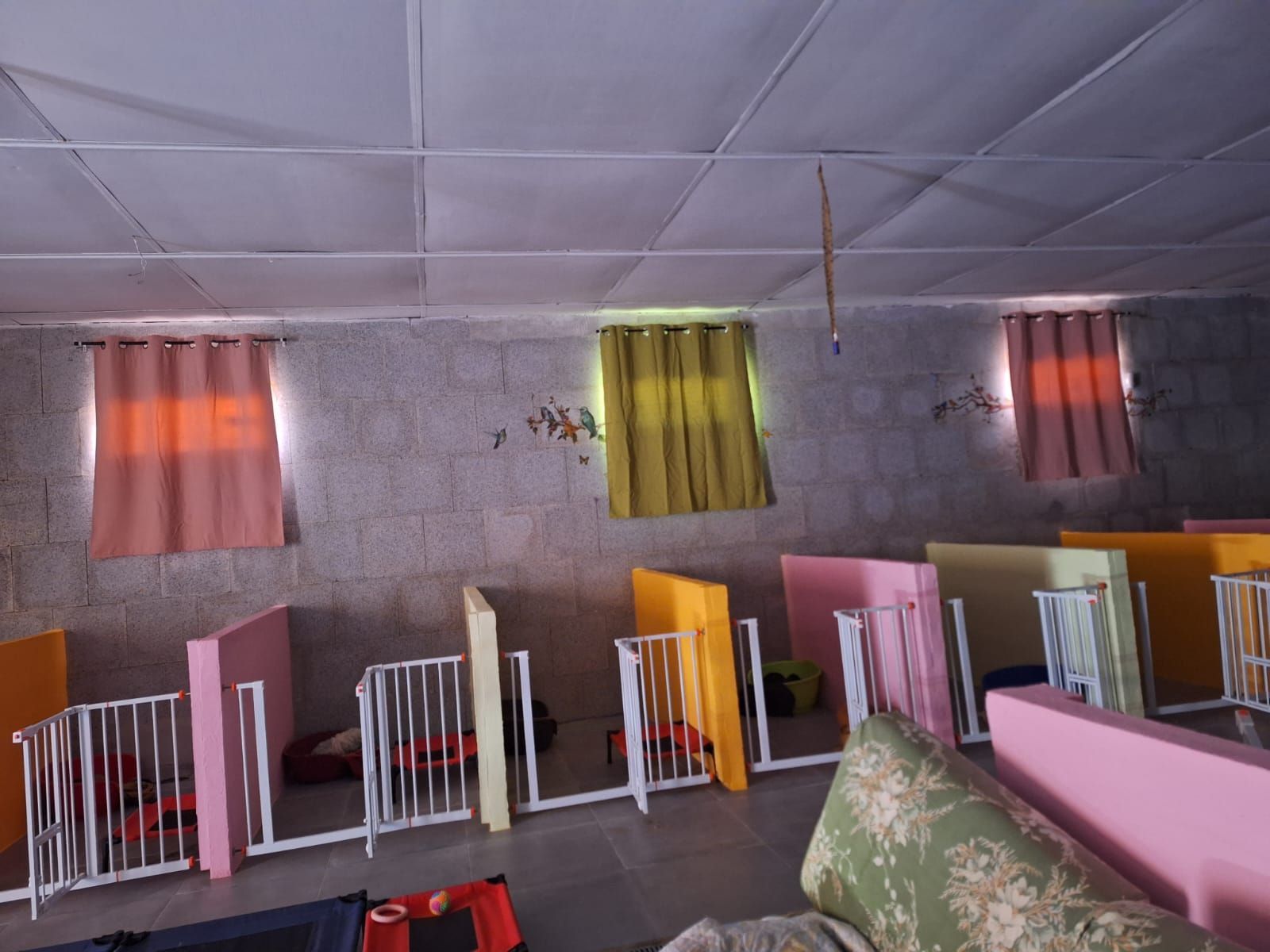 Dentro de la habitación hay varias casetas con separadores de colores y cortinas en las ventanas.