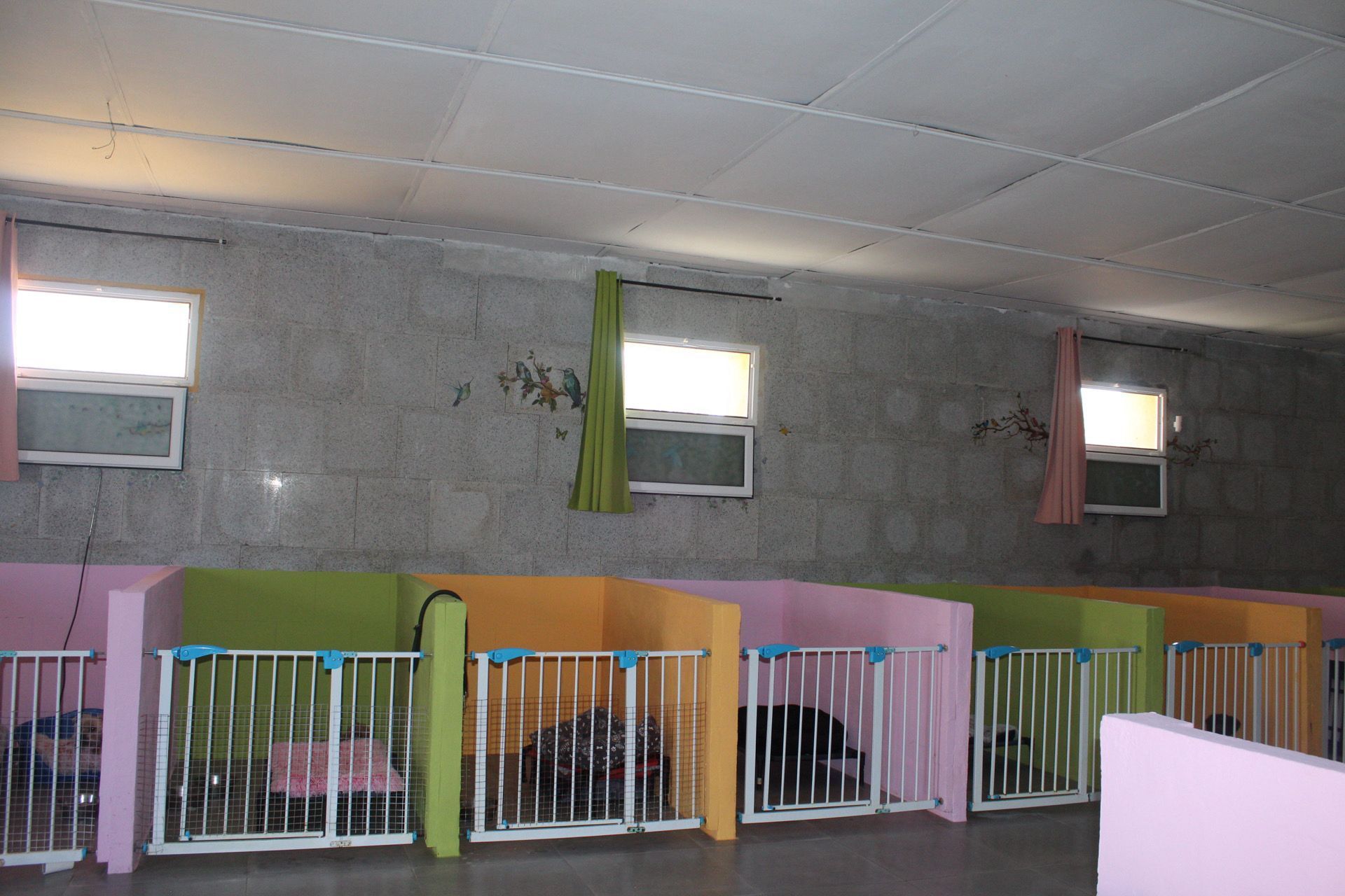 Caseta para perros con corrales de colores, ventanas pequeñas y paredes de azulejos.