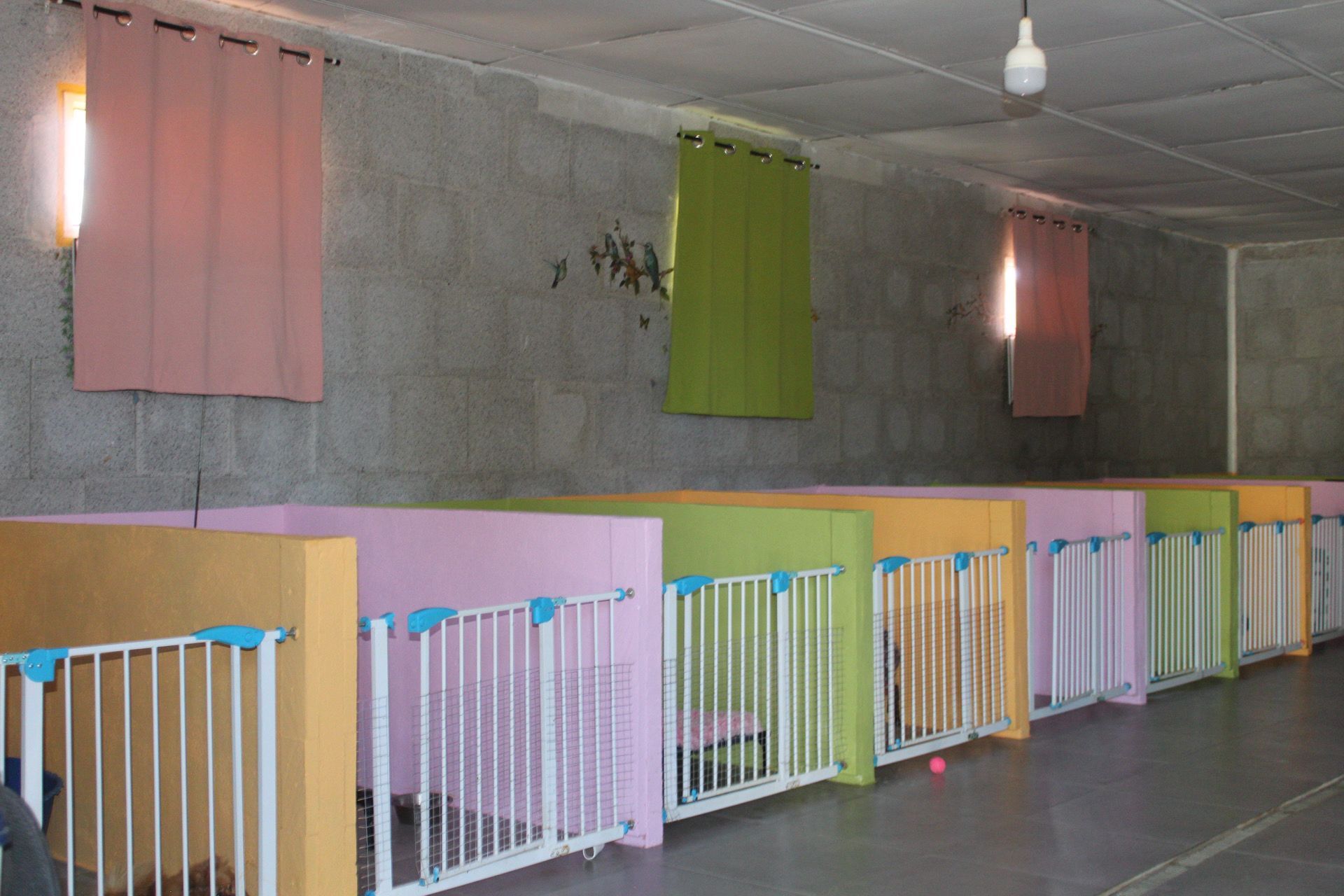 Filas de coloridas casetas para perros con cortinas, paredes grises e iluminación brillante.