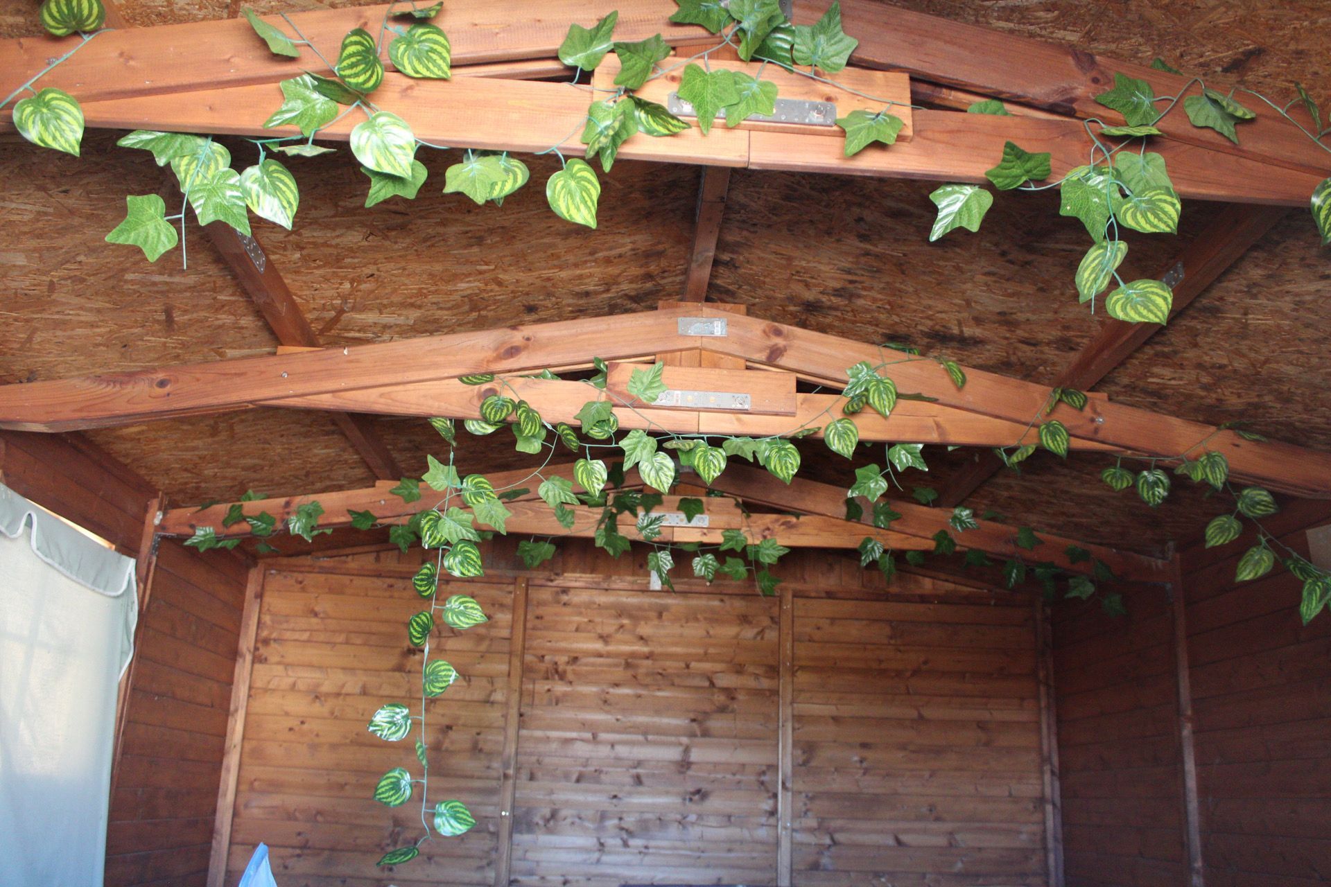 Interior de un cobertizo de madera con enredaderas de hojas verdes que cubren las vigas y el techo.