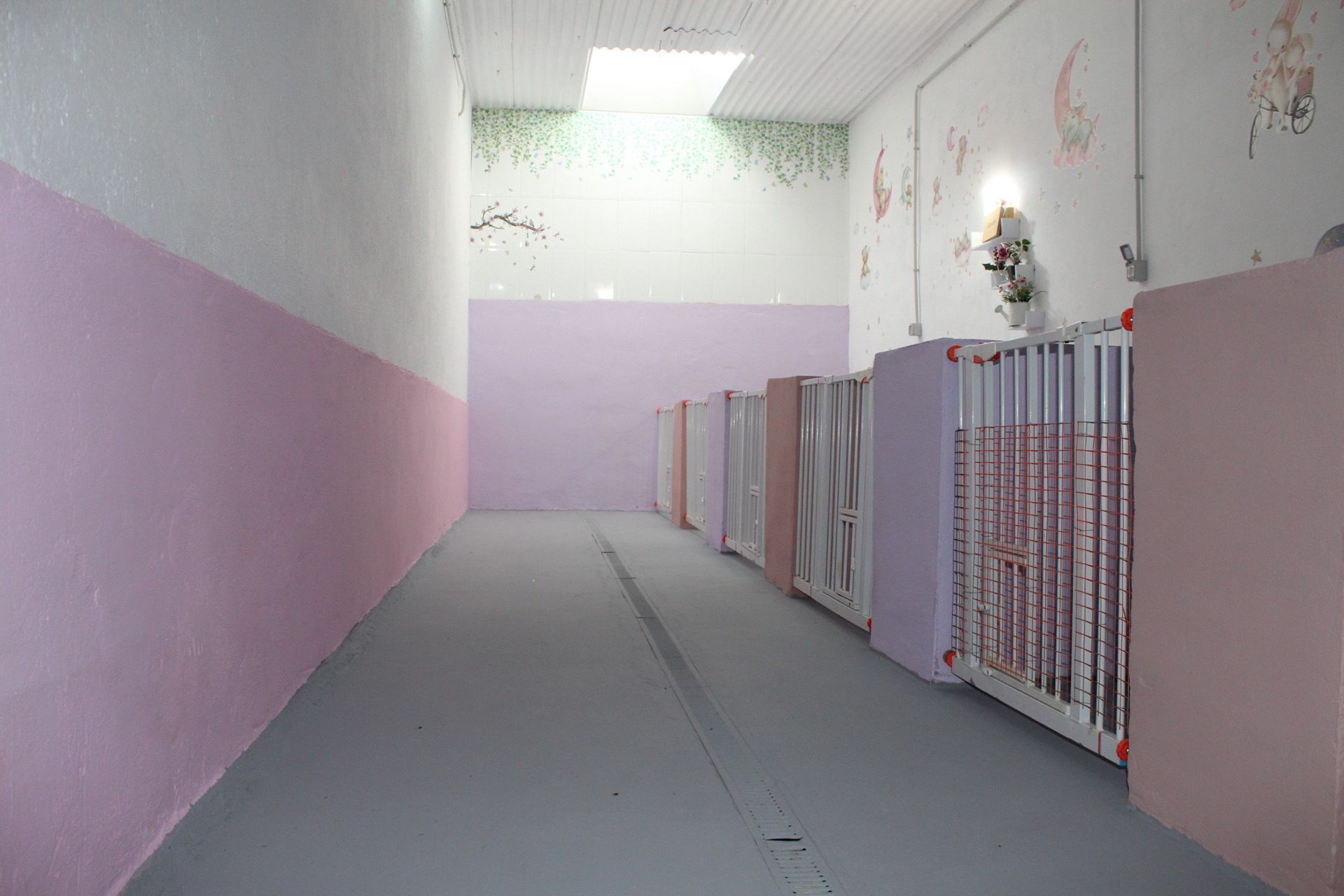 Largo pasillo con paredes rosas y blancas, flanqueado por cunas. La luz del sol entra a raudales por una ventana del techo.